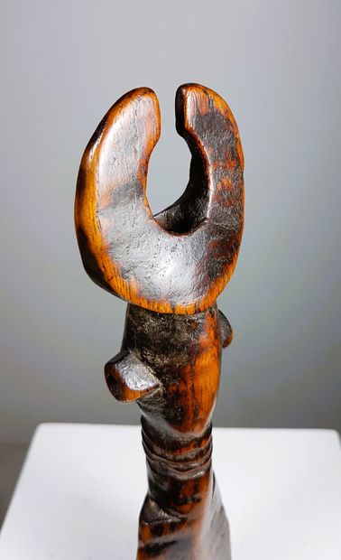 Bamiléké, Grassland region, Northwest Cameroon,...