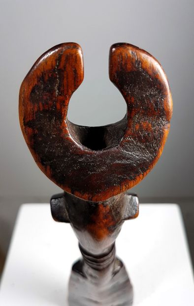 Bamiléké, Grassland region, Northwest Cameroon,...