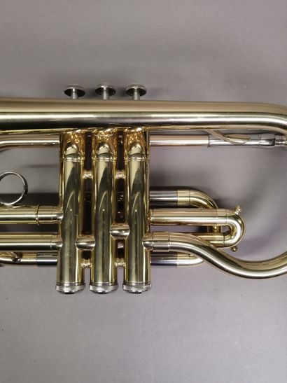 Yamaha YCR 20330 piston horn n°213465, with...