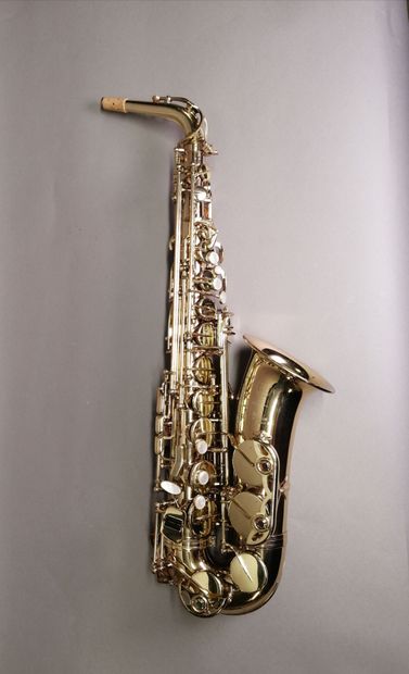 Henri Selmer alto saxophone, Super Action...