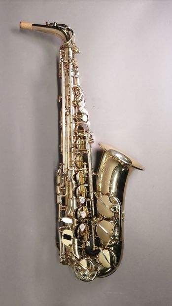 Alto Saxophone Selmer Super action II 80...