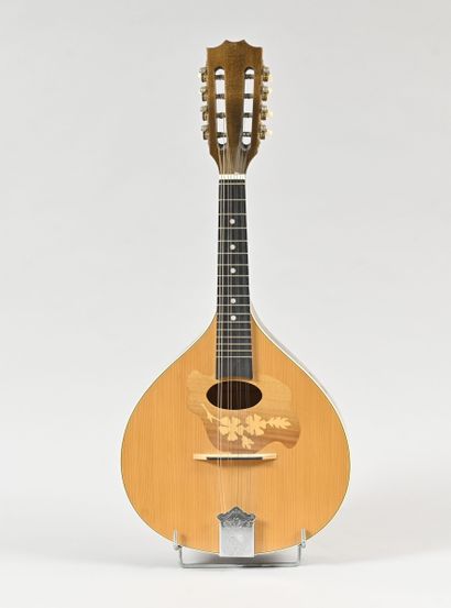 2005 Romanian mandolin by HORA
In its ca...