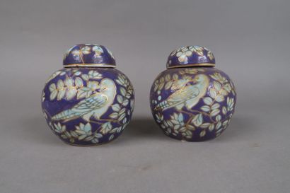 Paire de deux vases chinois à décor d'oiseau...