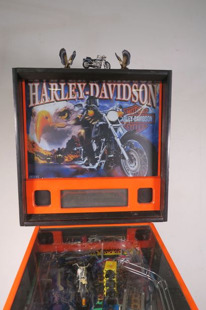 SEGA PINBALL
Harley davidson SEGA - 1999
Flipper...