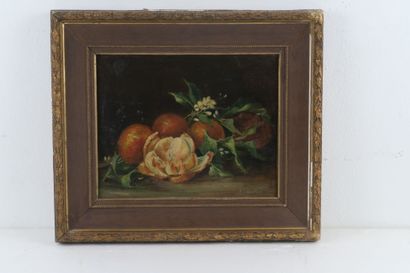 V. AMELOT (fin du XIXe siècle)
Nature morte...