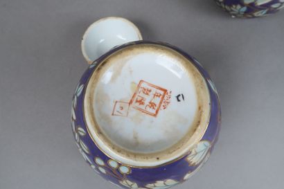 Paire de deux vases chinois à décor d'oiseau...