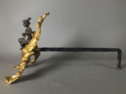 Une paire de chenets en bronze doré et fonte...