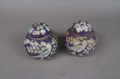 Paire de deux vases chinois à décor d'oiseau...
