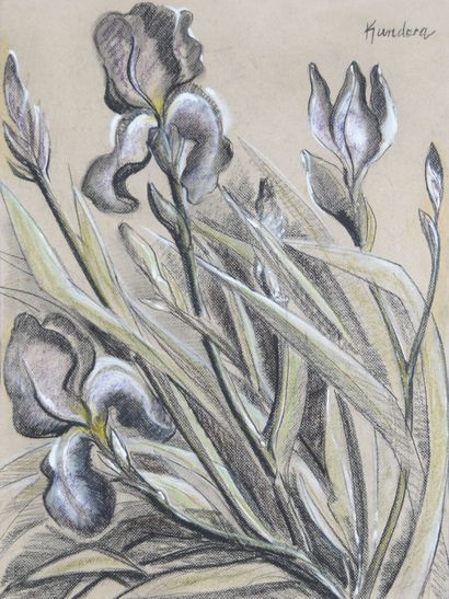 Rudolf KUNDERA (1911-2005)
The Large Iris
Pastel,...