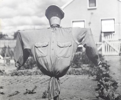 Robert DOISNEAU (1912-1994)
Épouvantail à...