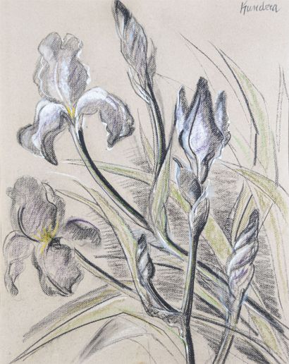 Rudolf KUNDERA (1911-2005)
The Iris
Pastel,...