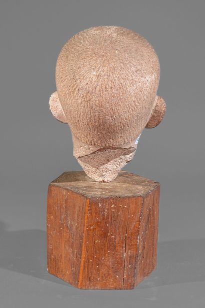 Georges SALENDRE (1890-1985)
Head of a young...