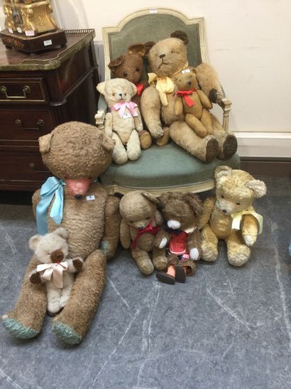 Lot de 9 ours peluches 34 à 105 cm, beiges,...