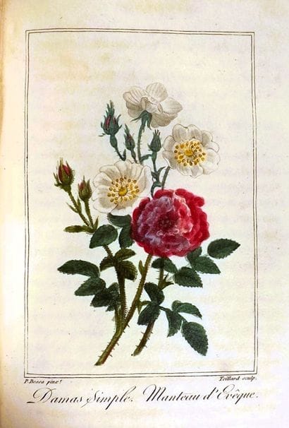 GARDEN OF FLOWERS (LE). Celebrated by ancient...