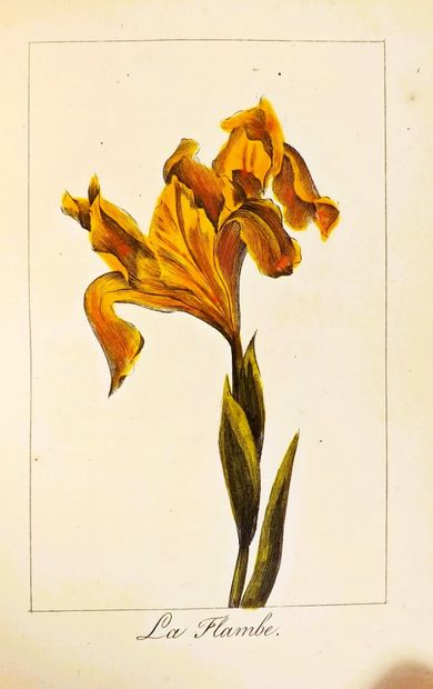 GARDEN OF FLOWERS (LE). Celebrated by ancient...