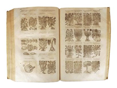 MATTHIOLE (P. A). [COMMENTS ON THE SIX BOOKS...