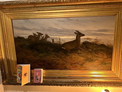 August Friedrich SCHENCK (1828-1901)
Deer...