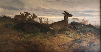 August Friedrich SCHENCK (1828-1901)
Deer...