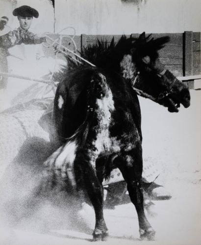 Lucien CLERGUE (1934-2014)
Tauromachies I,...