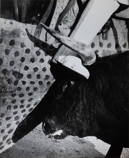 Lucien CLERGUE (1934-2014)
Tauromachies I,...