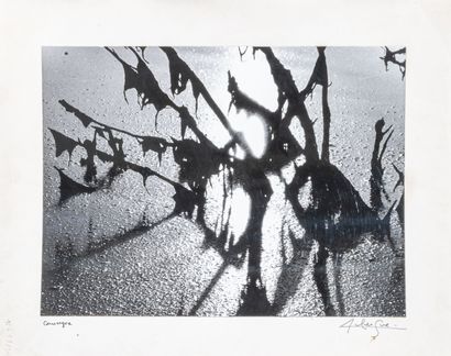 Lucien CLERGUE (1934-2014)
Camargue
Tirage...