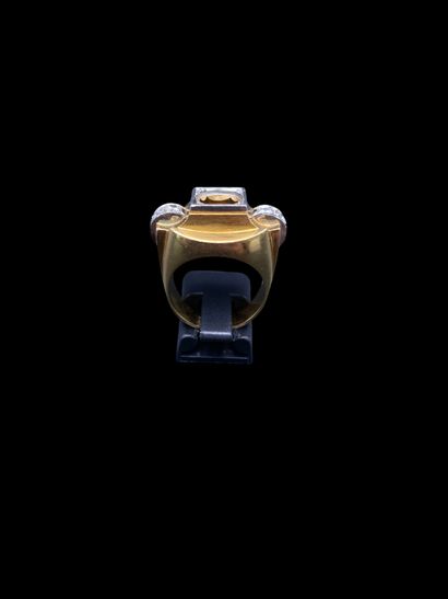 Monture de bague 