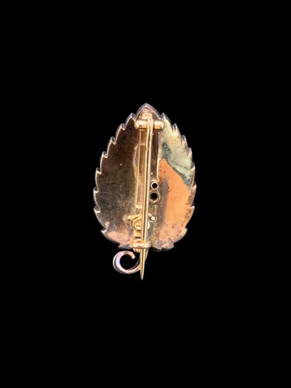 Broche 