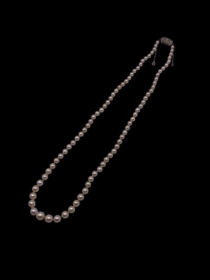 Collier de perles de culture en chute (diamètres...