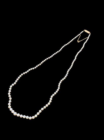 Collier de perles de culture en chute (diamètres...