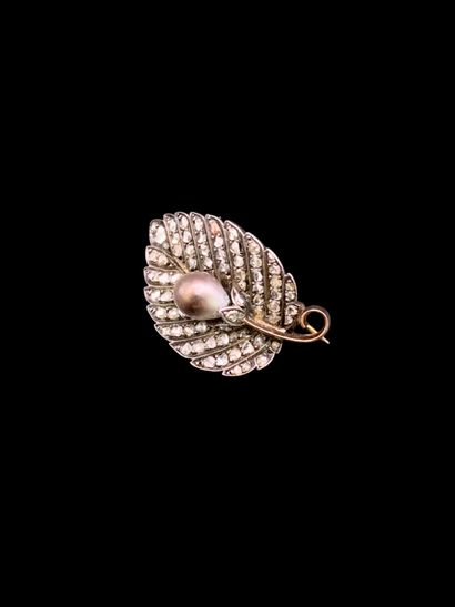 Broche 