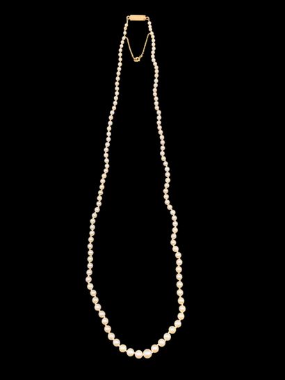 Collier de perles de culture en chute (diamètres...