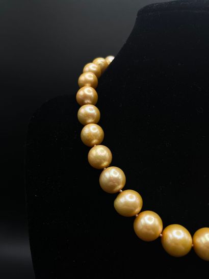 Collier d'importantes perles de culture 