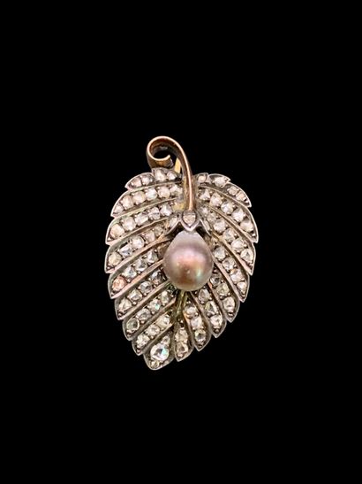 Broche 