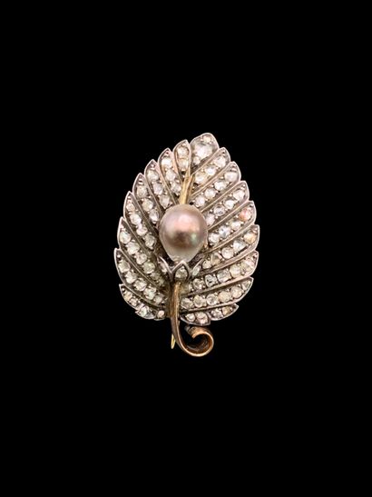 Broche 