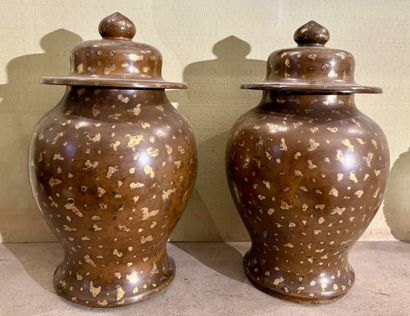 CHINE, XVIIe/XVIIIe siècle
Paire de vases...