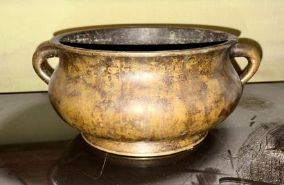 CHINA, 19th century
Mistletoe-shaped bronze...