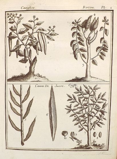 [CHAMBON]. LE GUIDE DU COMMERCE DE L'AMÉRIQUE,...