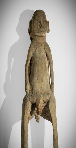 * ASMAT, IRIAN JAYA, INDONÉSIE (PNG), 
Grande...