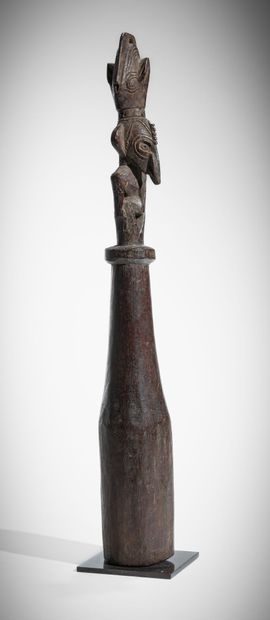 * SÉPIK ORIENTAL, RÉGION DES LACS MURIK,...