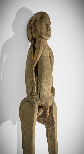 * ASMAT, IRIAN JAYA, INDONÉSIE (PNG), 
Grande...