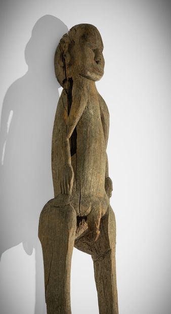 * ASMAT, IRIAN JAYA, INDONÉSIE (PNG), 
Grande...