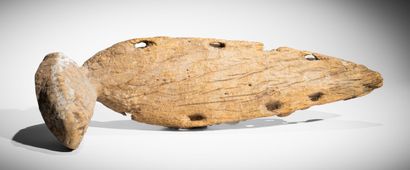 * RIVIÈRE BLACKWATER, MOYEN SEPIK, PAPOUASIE-NOUVELLE-GUINEE....