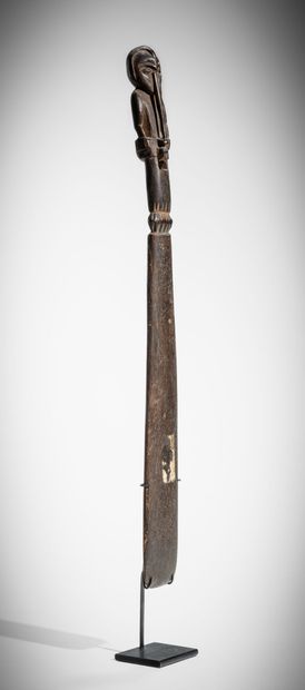 * SÉPIK, PAPOUASIE-NOUVELLE-GUINÉE,
Spatule...