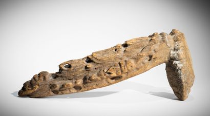 * RIVIÈRE BLACKWATER, MOYEN SEPIK, PAPOUASIE-NOUVELLE-GUINEE....