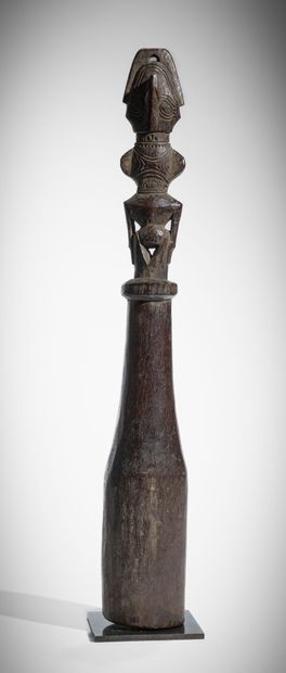 * SÉPIK ORIENTAL, RÉGION DES LACS MURIK,...