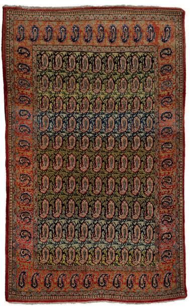GHOM
Tapis à champ de rangées de palmettes...