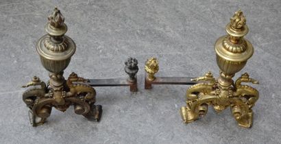 Paire de chenêts à décor de salamandre encadrant...