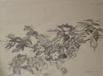 Jacques TRUPHEMUS (né en 1922)
Branche fleurie
Mine...