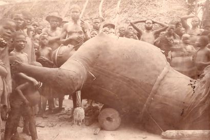 Bembé Republic of Congo Anthropomorphic 