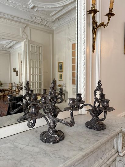 Pair of candelabra
Three-branched
Rocaille...